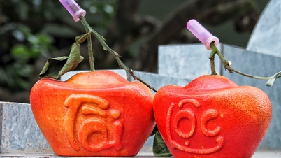 ក្រូចថ្លុងក្រហមរាងប្លែក 'លក់អស់ហើយ' ក្នុងឱកាសបុណ្យចូលឆ្នាំថ្មី។