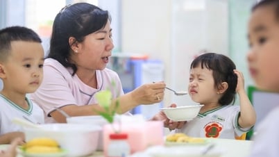នៅ​មាន​ការ​ខ្វះខាត​គ្រូ​មត្តេយ្យ​ចំនួន ៦៩៦​នាក់។ តើទីក្រុងហូជីមិញមានដំណោះស្រាយអ្វីខ្លះ?