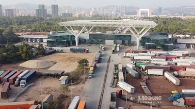 3 sản phẩm mới được phép xuất khẩu qua cầu Bắc Luân II, Móng Cái