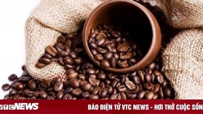 Coffee price today December 18: Domestic price increases, world price decreases