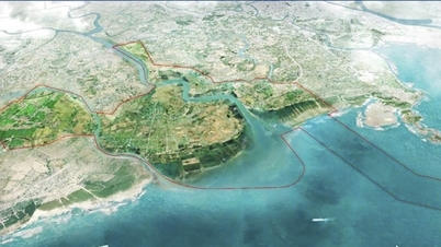 Announcement of the decision to establish Hai Phong Coastal Economic Zone, scale of 20,000 hectares