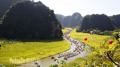Sức hấp dẫn của Photo tour Mùa vàng Tam Cốc