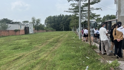 https://baogialai.com.vn/cho-phep-dia-phuong-tu-quyet-dinh-viec-phan-lo-ban-nen-post241578.html