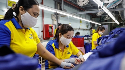 Giám sát kế hoạch thưởng Tết 2025 của các doanh nghiệp trên địa bàn TPHCM