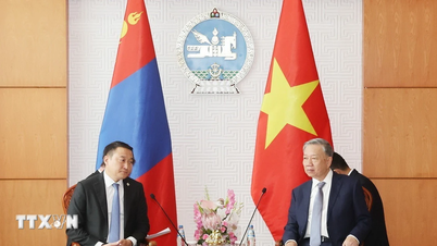 Vietnam wishes to develop relations with Mongolia in all fields.