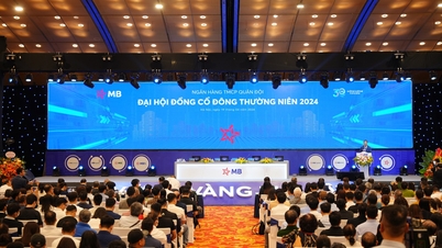 Đại hội đồng cổ đông MB thông qua mục tiêu kinh doanh 2024 với nhiều chỉ tiêu tích cực
