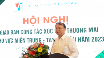 Deputy Minister Do Thang Hai attended the Trade Promotion Meeting in the Central Highlands and Central Region in 2023