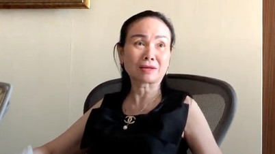TP.HCM báo cáo Thủ tướng vụ việc Trường quốc tế AISVN