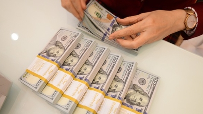 En los primeros seis meses del año, las remesas a Ciudad Ho Chi Minh alcanzaron casi 5.200 millones de dólares.
