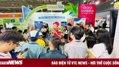 HappyVet mang đến giải pháp toàn diện cho ngành chăn nuôi Việt