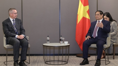 Đại học ở New Zealand sẽ tăng học bổng cho sinh viên Việt Nam