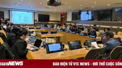 Việt Nam đảm nhiệm cương vị Chủ tịch Nhóm châu Á - Thái Bình Dương tại LHQ