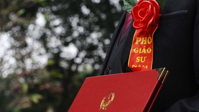 Một ứng viên xin rút công nhận chức danh phó giáo sư năm 2024