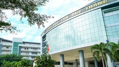 Ton Duc Thang University Admission Score 2024