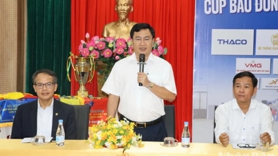 ក្រុមចំនួន 11 ចូលរួមការប្រកួតបាល់ទាត់កុមារដុងណៃ កាសែតដុងណៃ - CP Vietnam