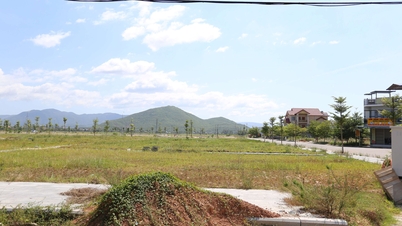 Bình Định đấu giá 148 lô đất trong tháng 12