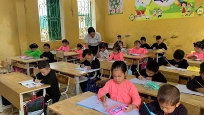El Ministerio de Educación y Formación propone eximir y reducir las tasas de matrícula para los estudiantes en las zonas afectadas por las inundaciones.