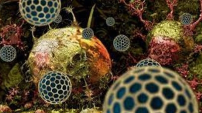 Phát triển thành công nanopolymer ngăn chặn sự phát triển của khối u ung thư
