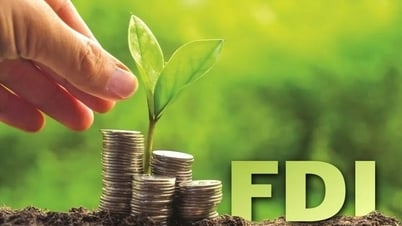 Thu hút vốn FDI xanh: Tận dụng lợi thế, vượt qua những thách thức