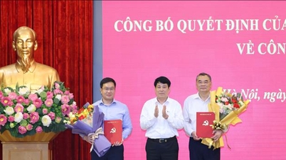 សេចក្តីប្រកាសសេចក្តីសម្រេចស្តីពីការតែងតាំងជំនួយការ និងលេខាធិការនៃអគ្គលេខាធិការ និងជាប្រធាន