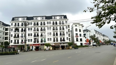 Ministry of Construction recognizes the area planned to establish An Duong district, Hai Phong city