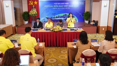 ត្រៀមខ្លួនសម្រាប់ពិធីបុណ្យសមុទ្រ និងកោះវៀតណាមនៅទីក្រុងឆ្នេរសមុទ្រ Vung Tau