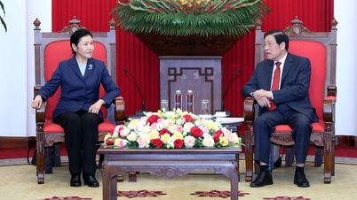 Mr. Phan Dinh Trac received the Chinese Minister of Justice