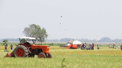 Quy định chính sách đất đai trong đồng bào dân tộc thiểu số