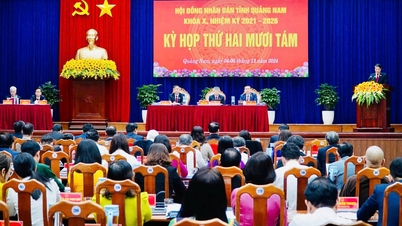 GRDP Quảng Nam ước tính tăng trưởng 7,1%