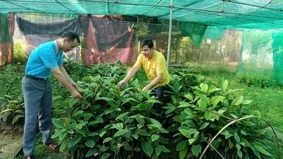 ទ្វារបើកប្រភពចំណូលប្រកបដោយនិរន្តរភាពសម្រាប់ប្រជាជននៅភាគខាងលិច Nghe An