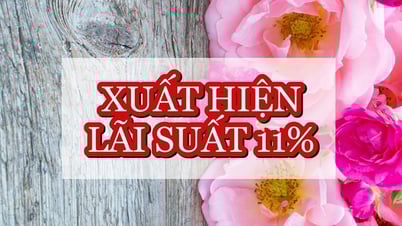 Bất ngờ xuất hiện lãi suất 11%