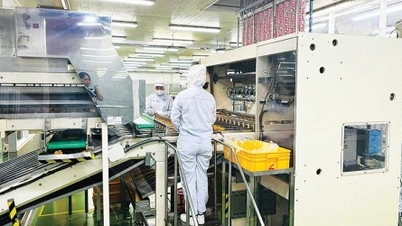 Increase brand value by outsourcing to foreign investors