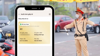 What to do when driver's license on VNeID expires?