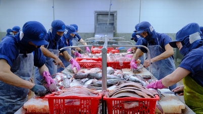 US and China 'buy' nearly half, agricultural exports set historic record