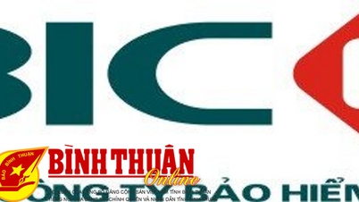 Stellenausschreibung der Versicherungsgesellschaft BIDV VUNG TAU