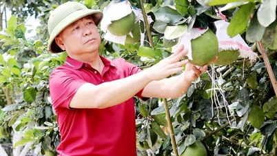រង់ចាំយ៉ាងអន្ទះសារ ដើម្បីចូលរួមកម្មវិធីមោទនភាពកសិករវៀតណាម