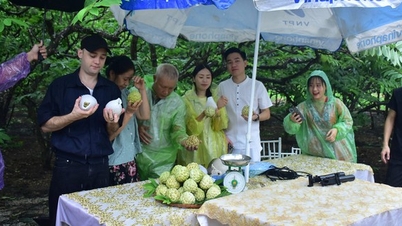 ការផ្សាយបន្តផ្ទាល់ដើម្បីគាំទ្រប្រជាជន Vo Nhai ឱ្យលក់ផ្លែមៀនបានជិត 4,7 តោន