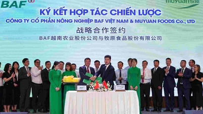 Áp dụng chuyển đổi số, trí tuệ nhân tạo trong chăn nuôi