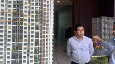 Revenue from rental apartments stimulates investors