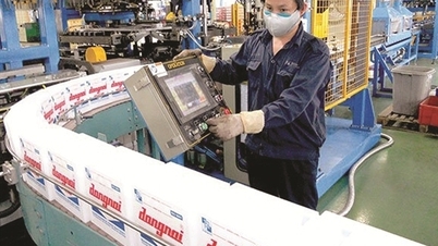 ピナコ（PAC）は今年の予定より遅れているが、それでも230億ドンの前払い配当を支払う