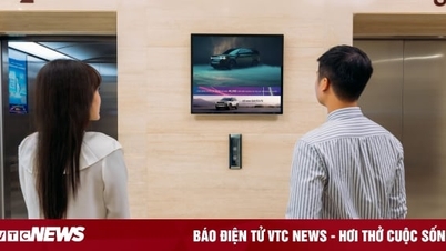 Chicilon Media កែសម្រួលតម្លៃនៃសេវាកម្មផ្សាយពាណិជ្ជកម្មអេក្រង់ជណ្តើរយន្តឱ្យកើនឡើង 12% ។