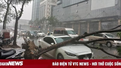 Đã tạm ứng hơn 434 tỷ đồng bồi thường cho khách hàng thiệt hại do bão Yagi