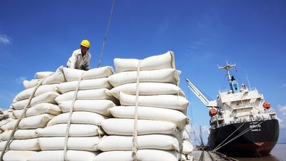 Rice exports increased by 28%, prices increased every day