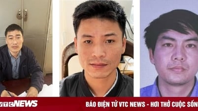 Bắt thêm 3 bị can liên quan vụ hối lộ để làm sai lệch hồ sơ địa chính ở Lâm Đồng