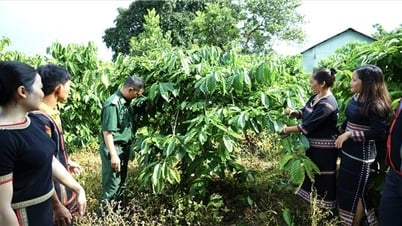 Tổ truyền thông cộng đồng - Giúp phụ nữ, trẻ em DTTS ở Đức Cơ có cuộc sống tốt đẹp hơn