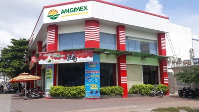 ភាគហ៊ុន AGM នៃ An Giang Import-Export JSC ត្រូវបានគ្រប់គ្រងចាប់តាំងពីថ្ងៃទី 10 ខែកញ្ញា។
