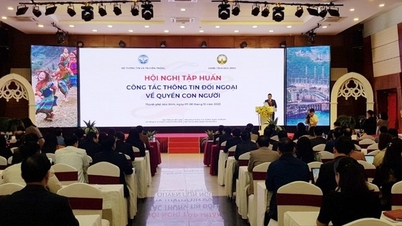 Tiếp tục triển khai thực hiện đề án Truyền thông về quyền con người ở Việt Nam giai đoạn 2023 – 2028
