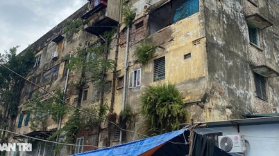 Ministry of Construction: Many old apartment buildings have cracks and tilts after super typhoon Yagi