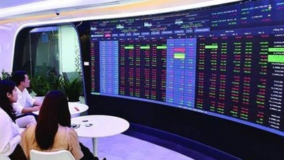 Recently changed owner, HVS Securities suspended operations