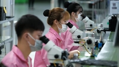 회계사, 인사부, 직원들이 알아야 할 것